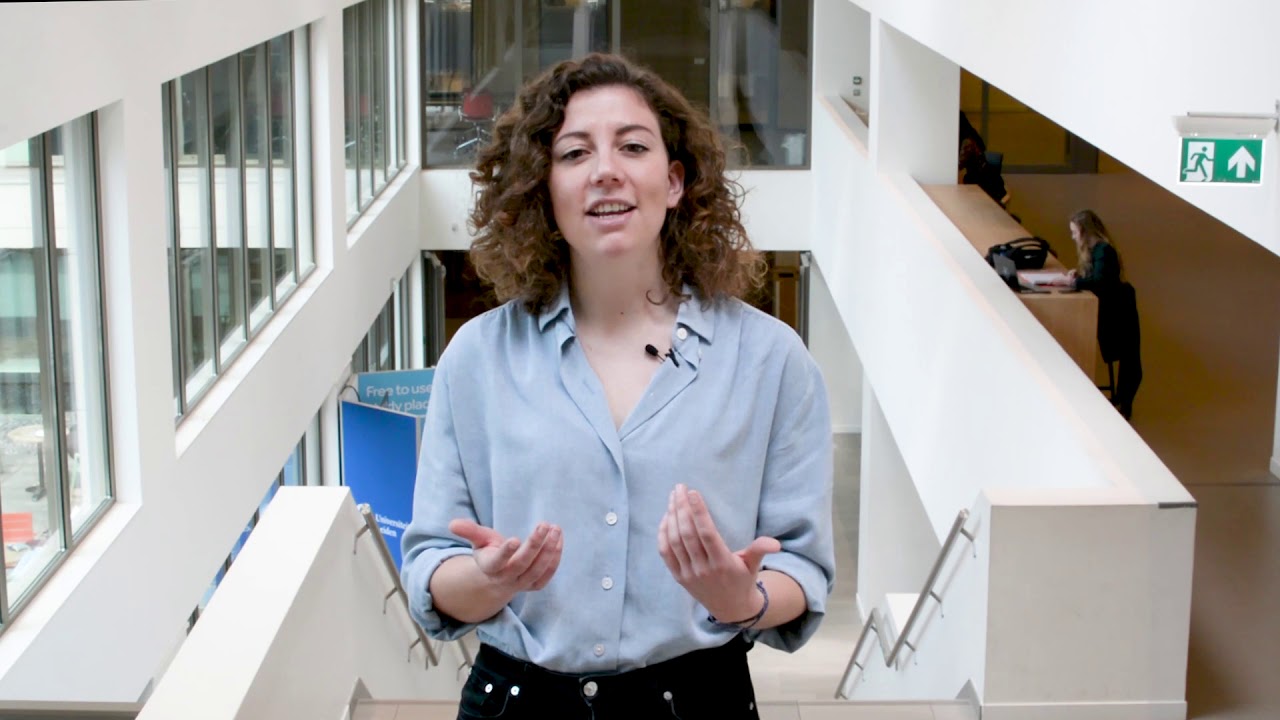 Master Thesis of Industrial Ecology- An example