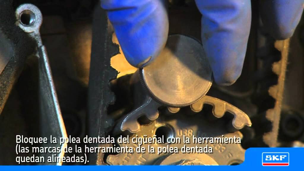 SKF Kit de correas  de distribucion con bomba de agua VKMC 01250-1 VW passat 1.9 TDI