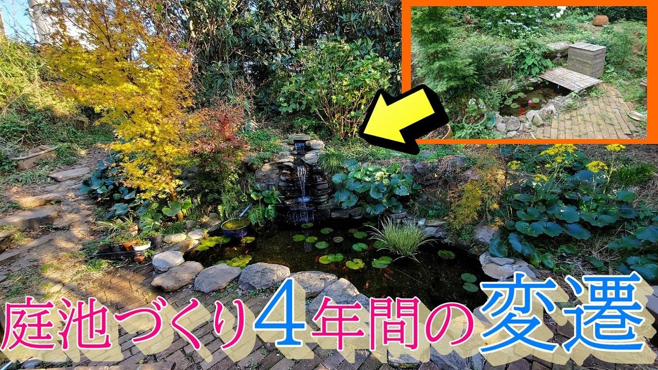 〔DIY〕庭池作り4年間の変遷　　２０１６～２０２０