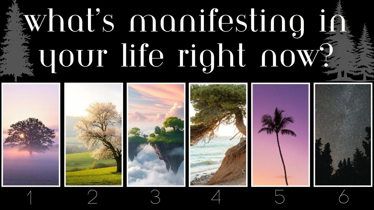 WHAT IS MANIFESTING IN YOUR LIFE RIGHT NOW? 🌲 Pick A Card Tarot