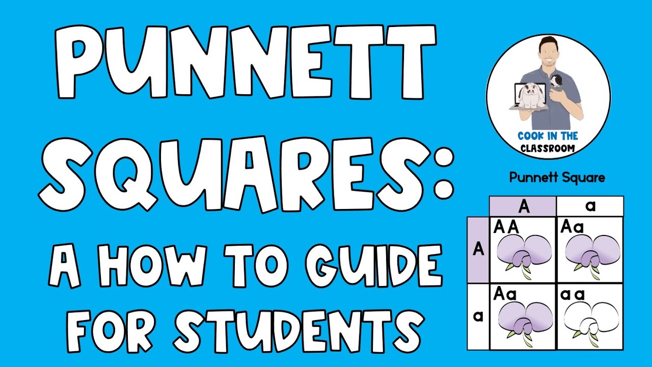 Punnett Squares:  A Student How to Guide