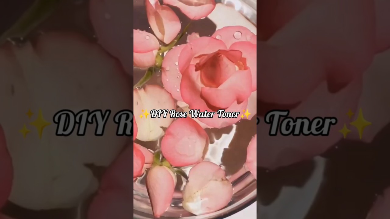 How to Make Pure Rose Water at Home 🌹✨ DIY Hydrosol #shorts #naturalrosewater #rosewaterspray