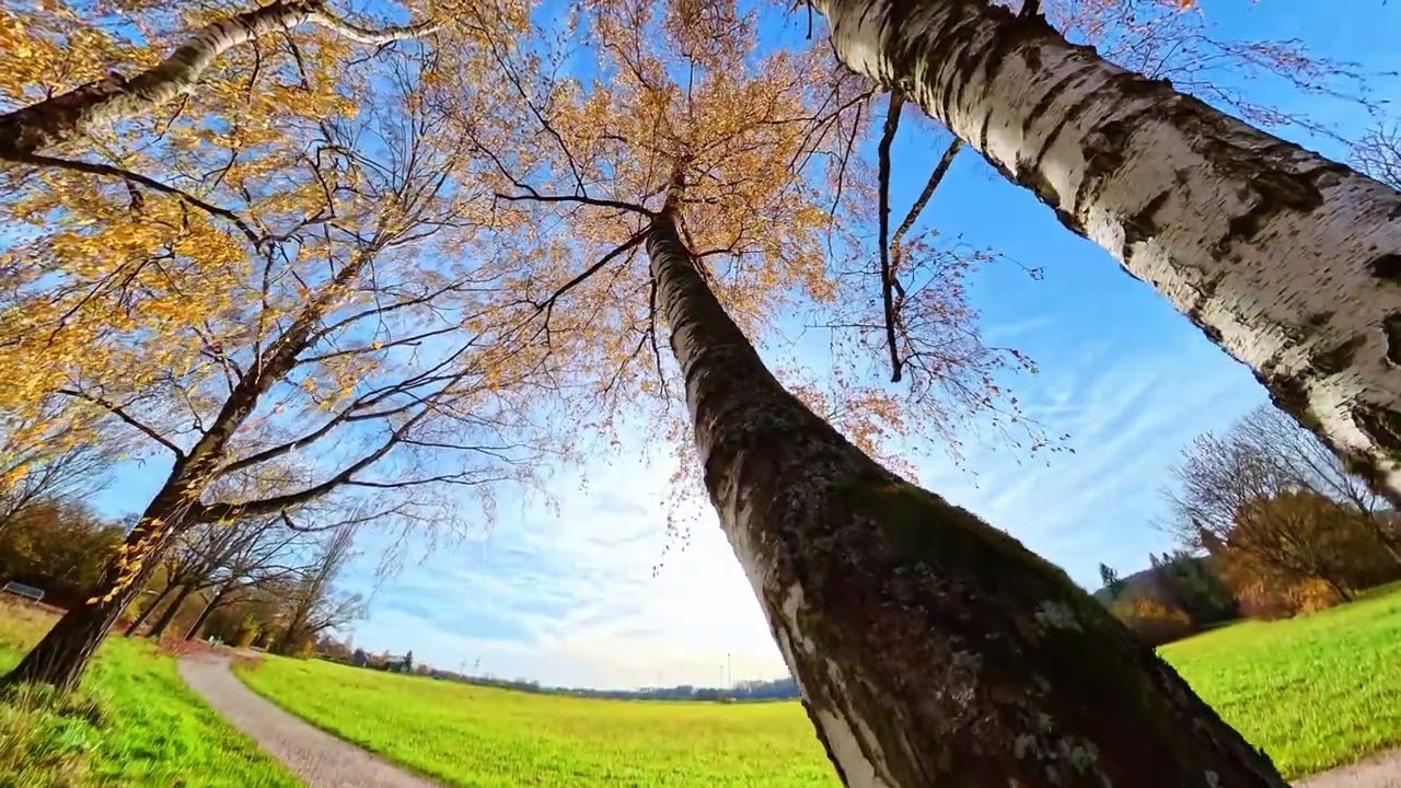 2025 - Forchheim - Herbstspaziergang