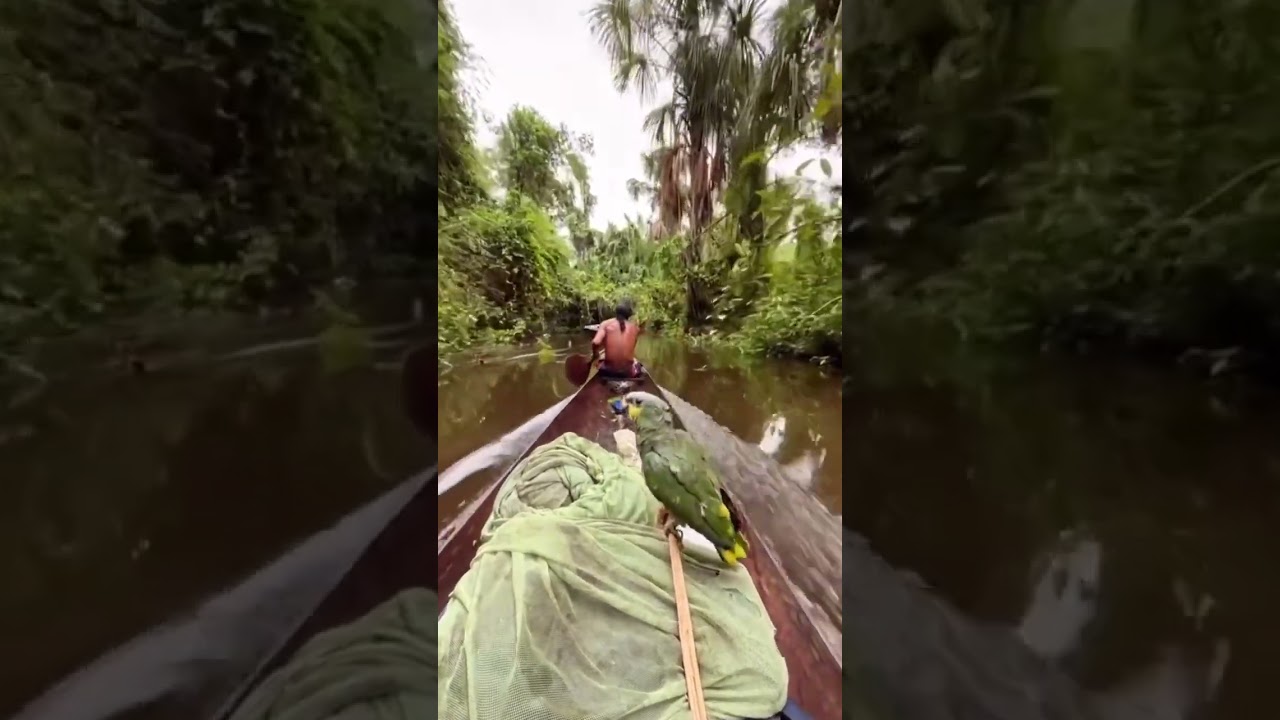 Bob Marley : The nature #reggae