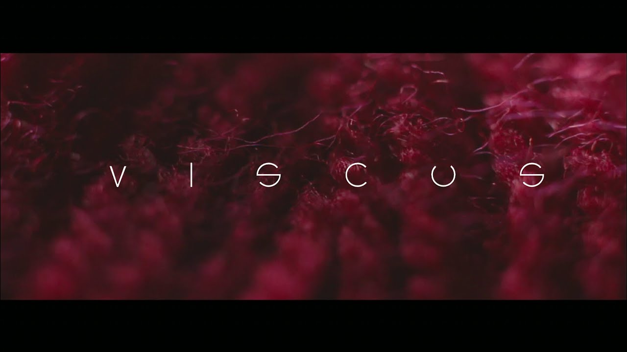 Viscus