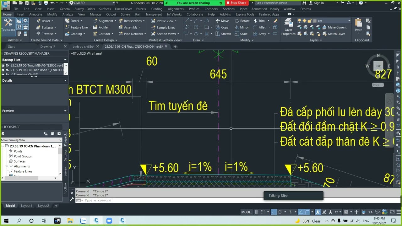 Học Civil 3D - Đồ Án Thiết Kế Kè Thủy Lợi [ Bài 3]