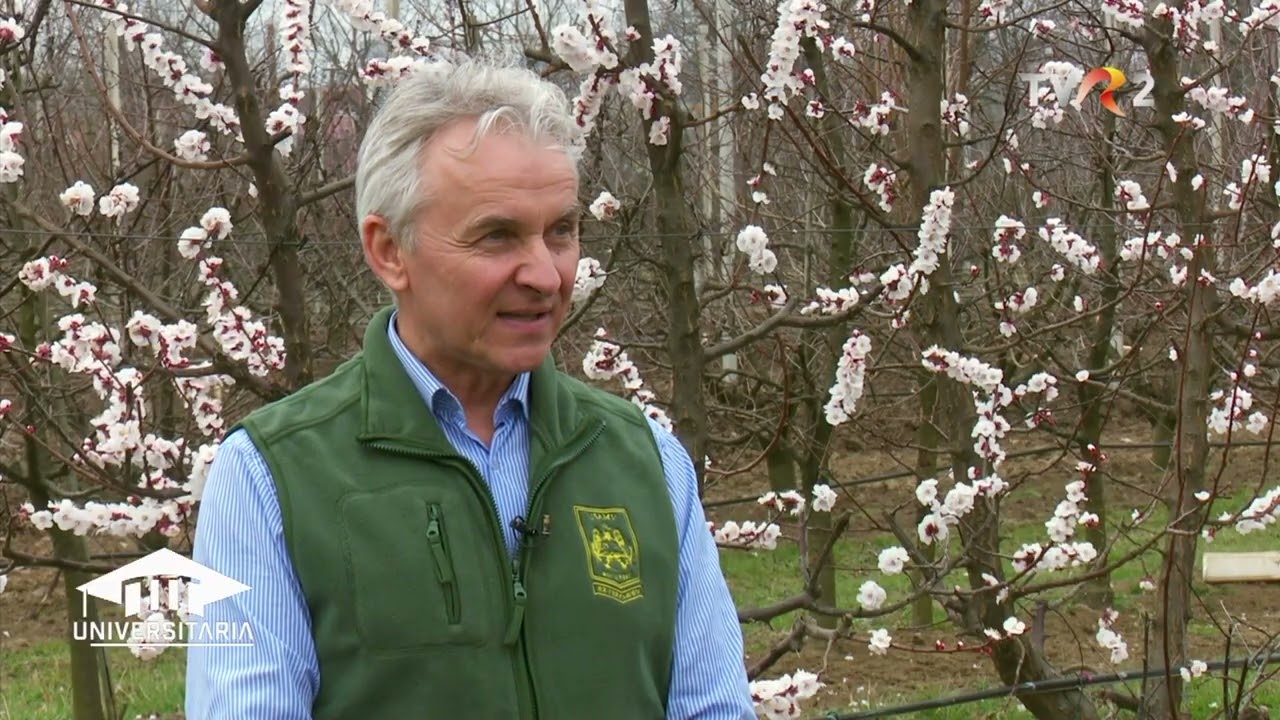 Universitaria - 15 aprilie 2024