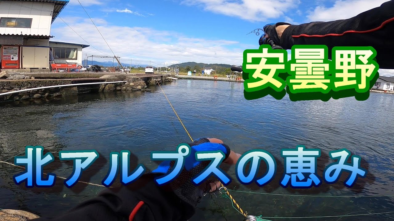 【管理釣り場】信州管釣り　安曇野にドラグ音が響いた② 北アルプスの恵みは凄かった