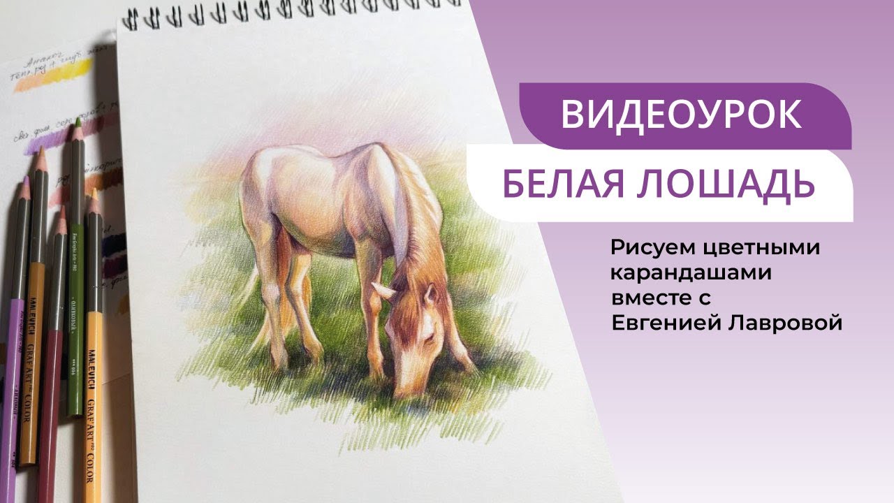 Рисуем белую лошадь на лугу, пошаговый урок | карандаши Малевичъ