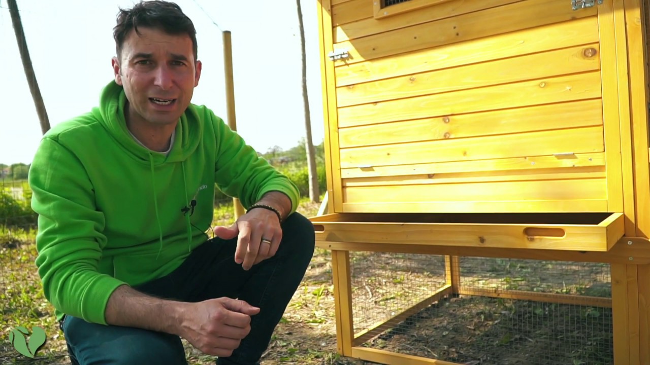 Pollaio per Galline Ovaiole da Giardino Cocincina Plus | Il Verde Mondo