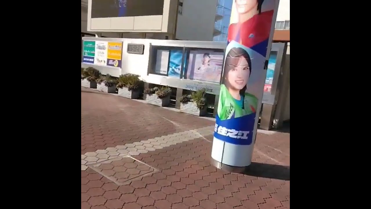 公営ギャンブル 体験 ビギナーズラック