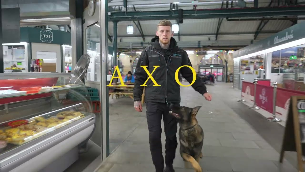 Axo the German Shepherd - Family protection Dog