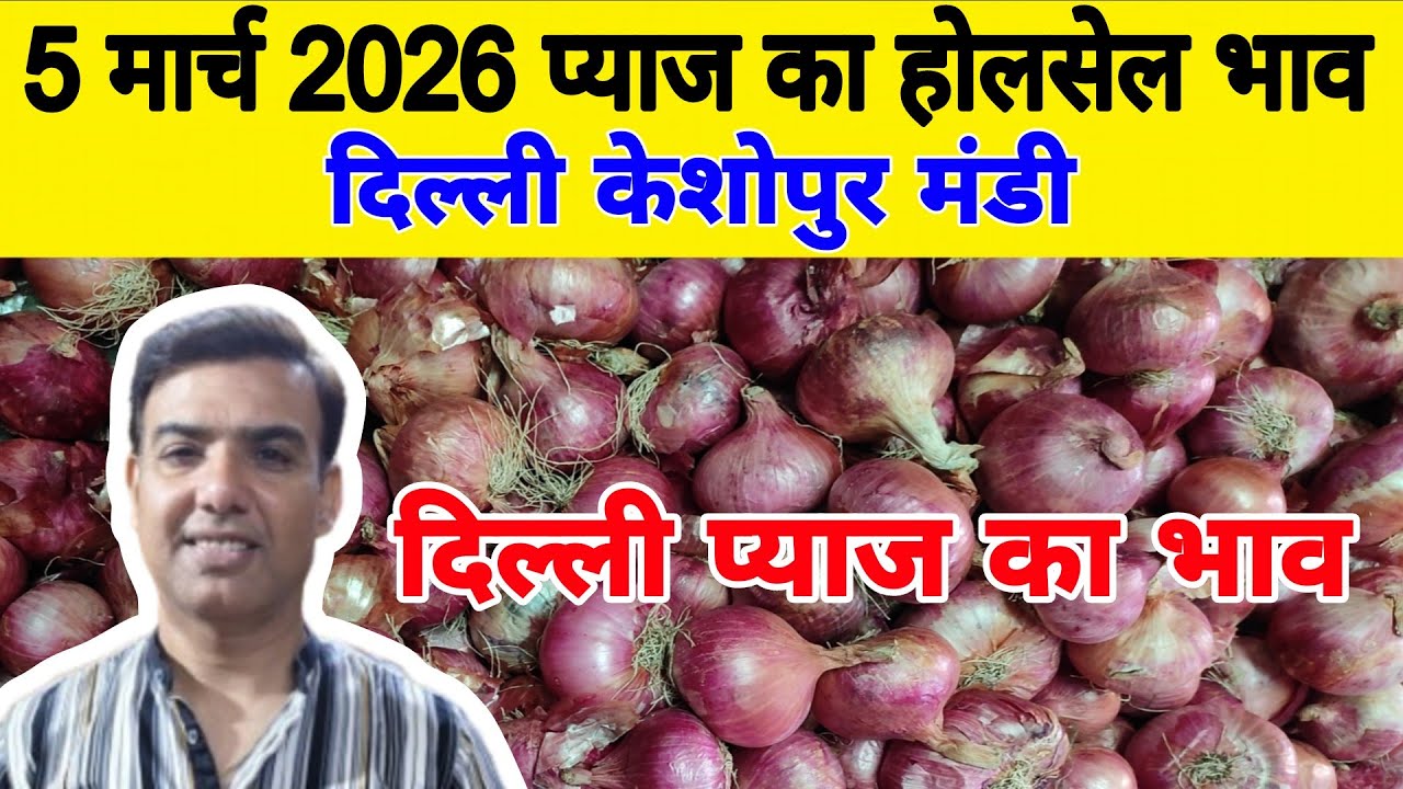 दिल्ली केशोपुर मंडी | 🧅Today onion rates | Today Onion price | Piyaj | 5 March 26 #pyaj #mandiprices