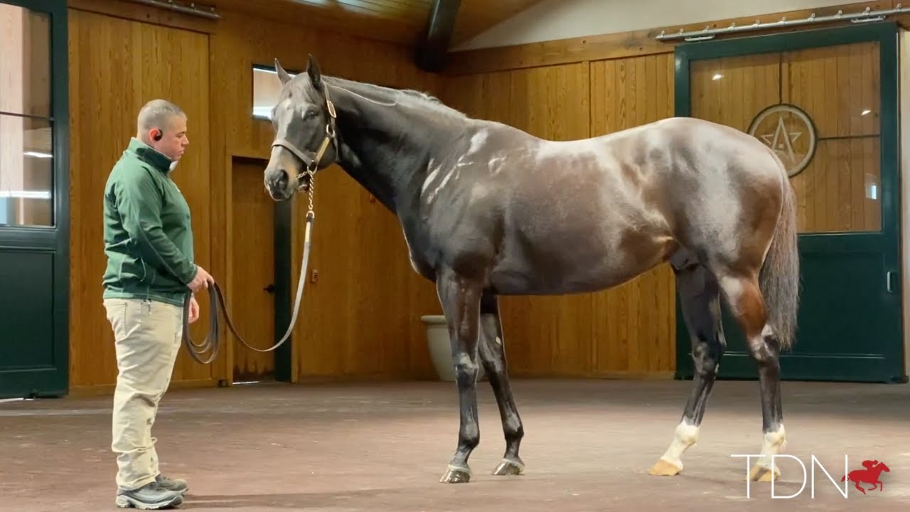 Back From Korea, Take Charge Indy Settles in Again at WinStar