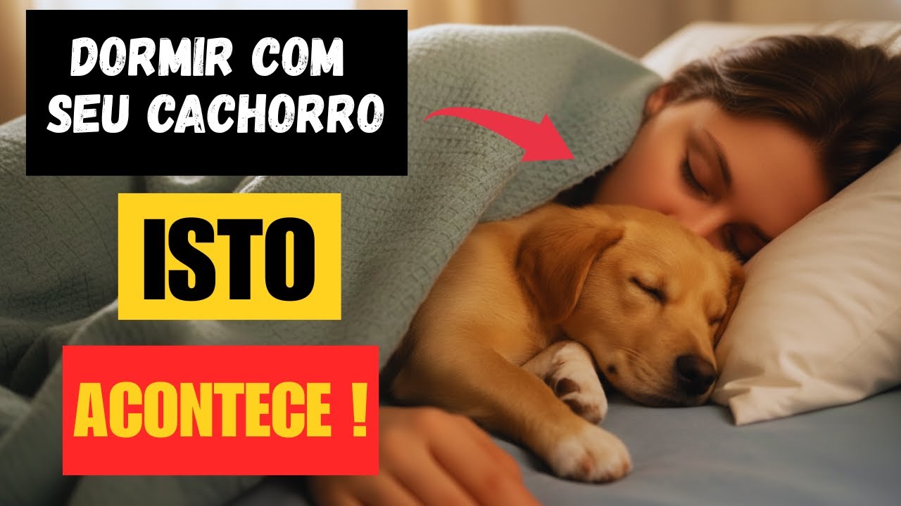 Se O Seu Cão Dorme Com Você Todas As Noites, NÃO Ignore Este Sinal