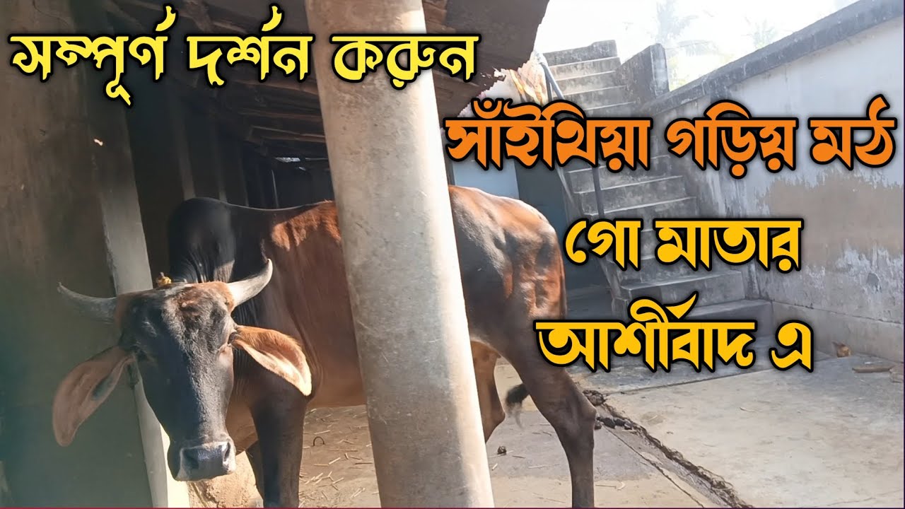 সাঁইথিয়া গড়িয় মঠ দর্শন | গো মাতার আশীর্বাদ 🐄 | Sainthiya Gariya Math Full Darshan 🌼 বীরভূম জেলা 