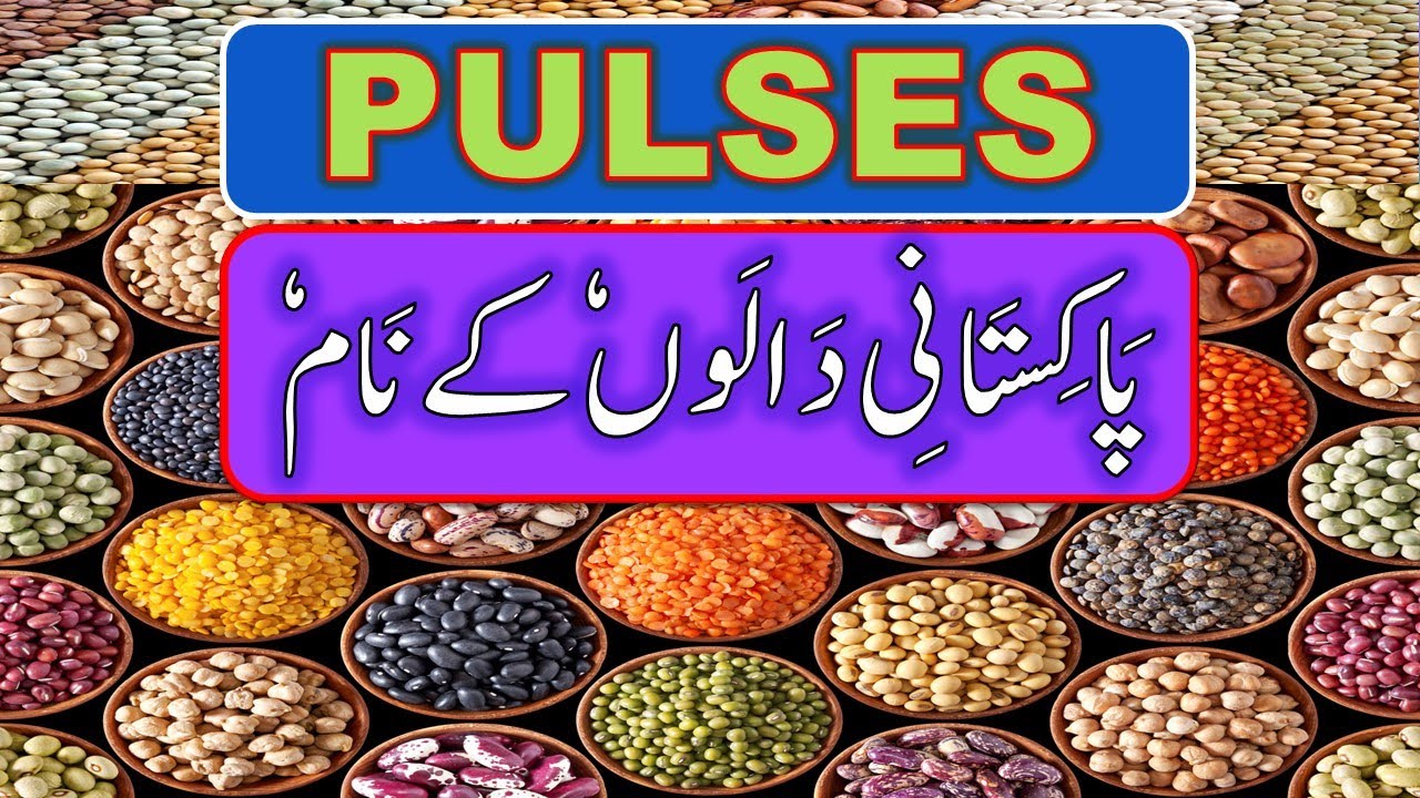 Pulses Name in Urdu & English, Dalain