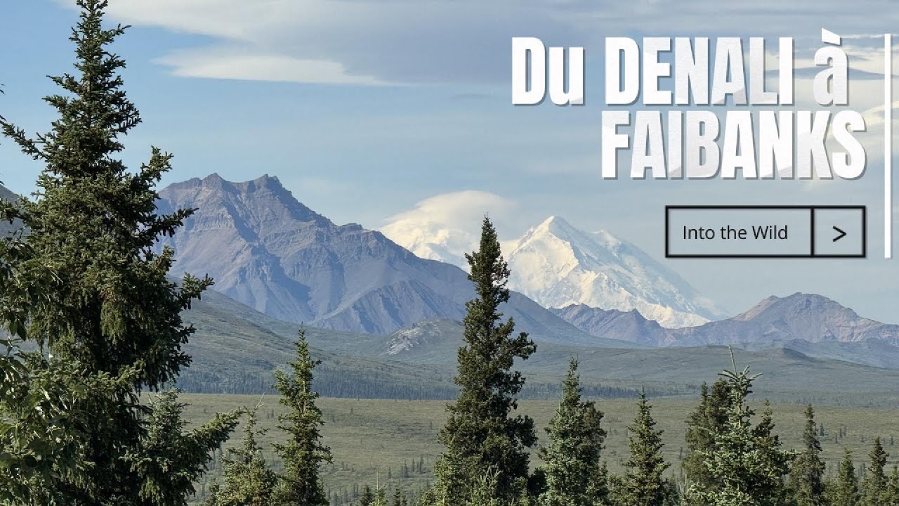 Notre Road Trip en ALASKA - Du Denali à Fairbanks -