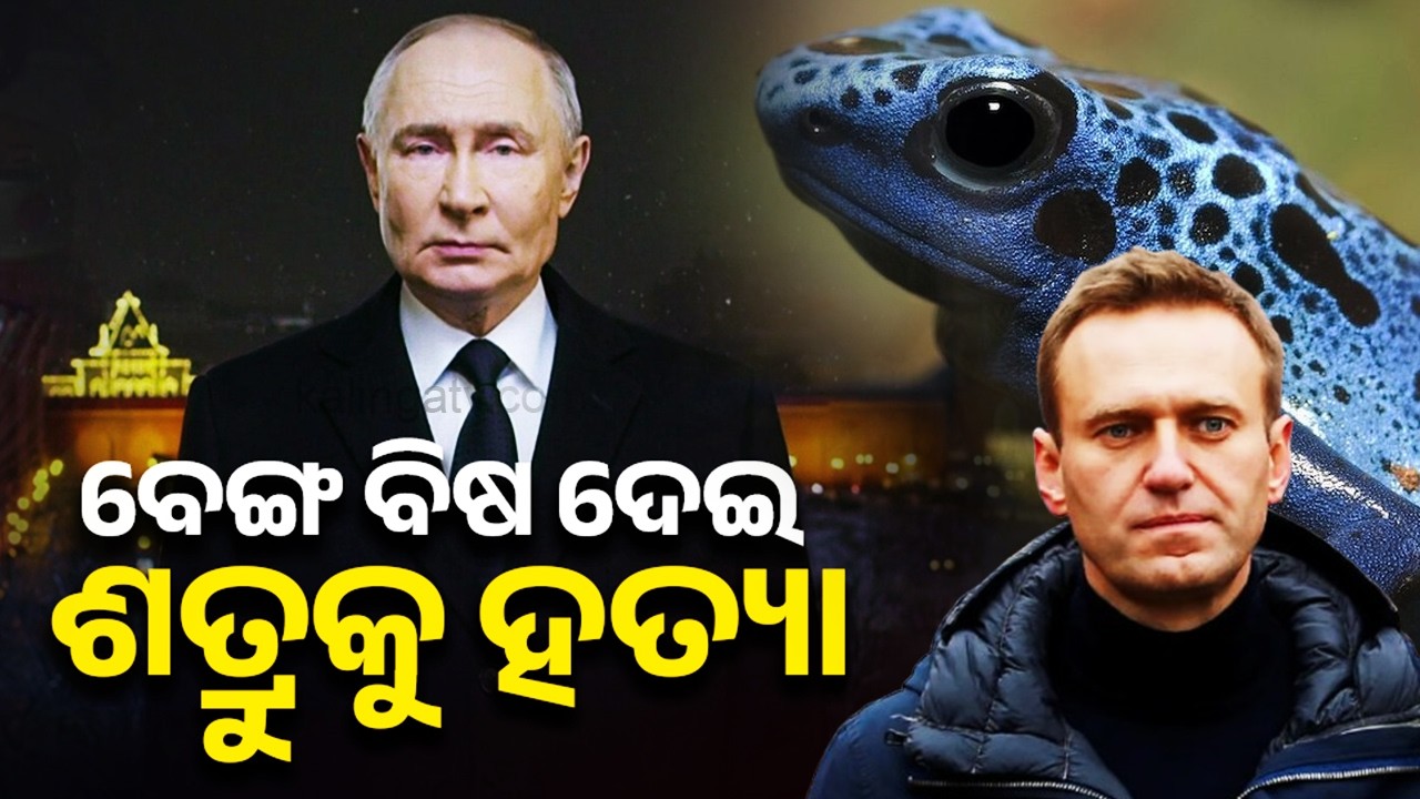 Russia killed opposition leader Alexei Navalny using dart frog toxin, UK says