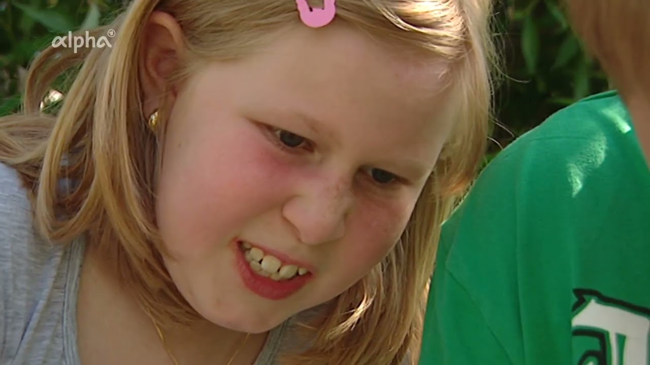 Schulfernsehen: Das Auge (2009)