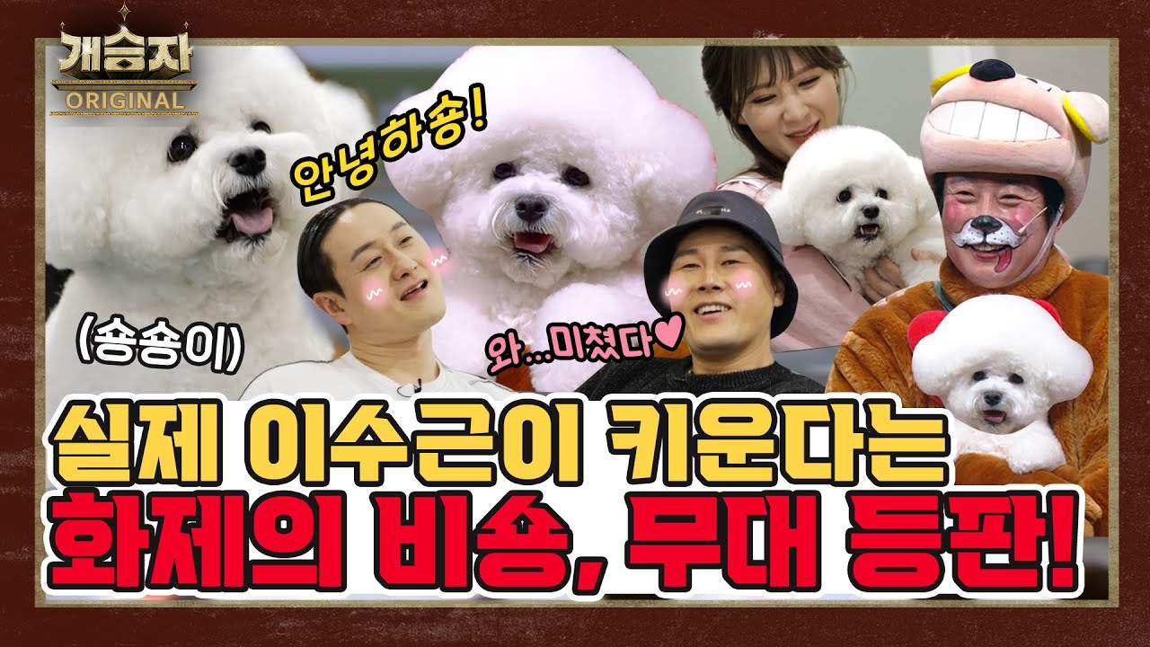 [개승자] 이수근, '개훌륭' 코너에 등판한 비숑 프리제! 역대급 미모 자랑