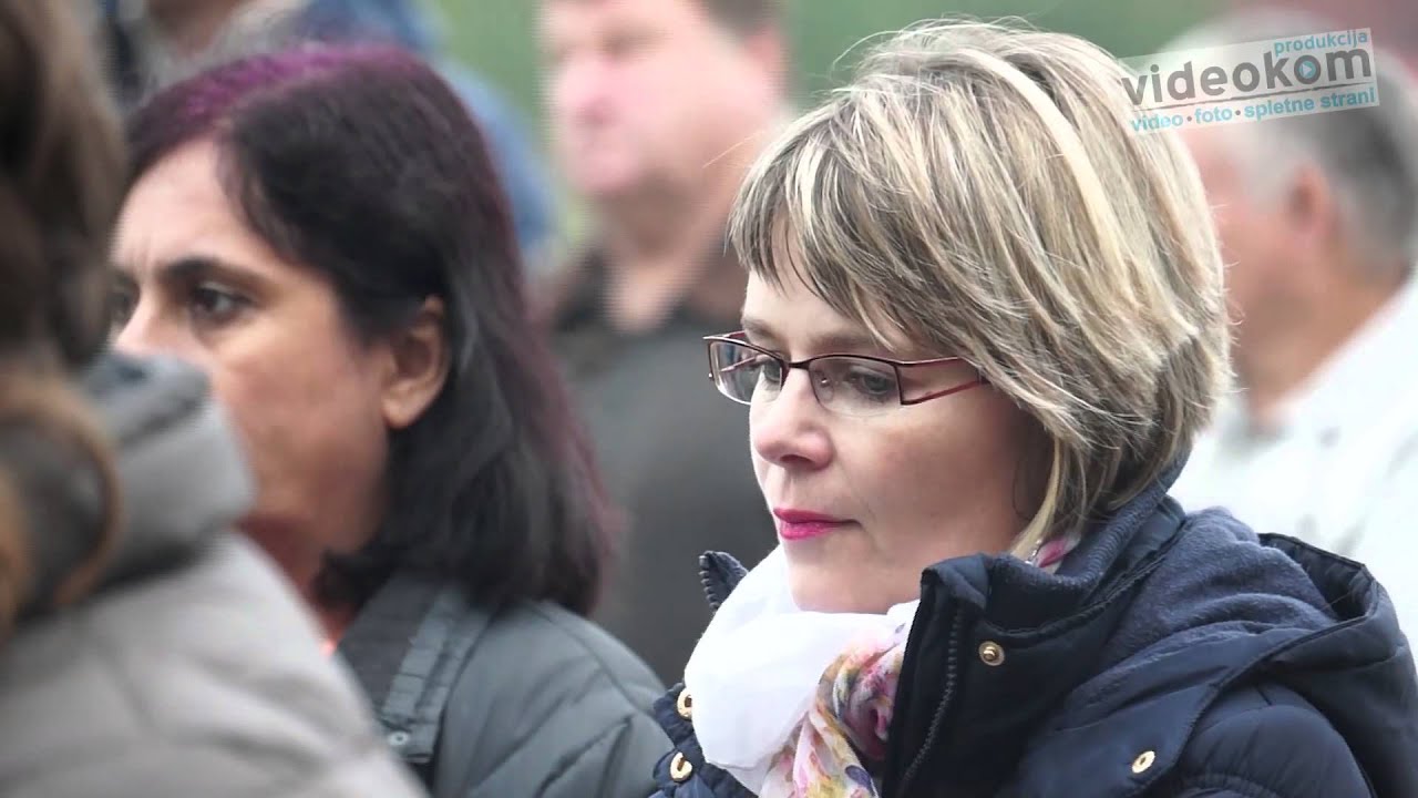 Preimenovanje OŠ Dobova 2015: v OŠ dr. Jožeta Toporišiča Dobova