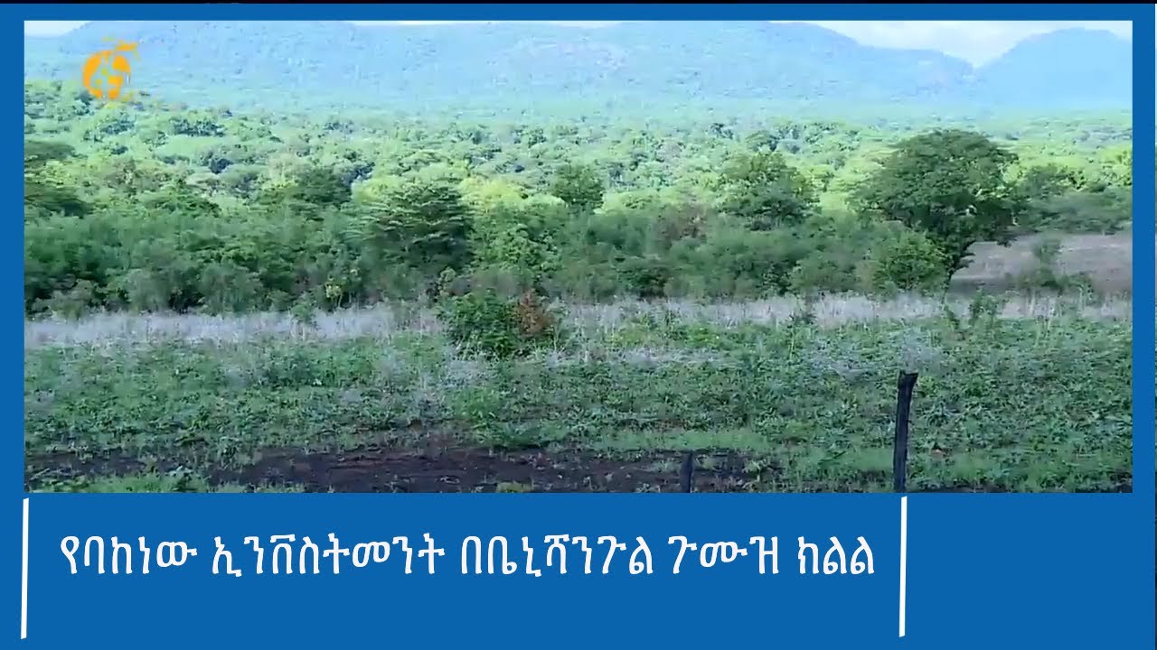 የባከነው ኢንቨስትመንት በቤኒሻንጉል ጉሙዝ ክልል