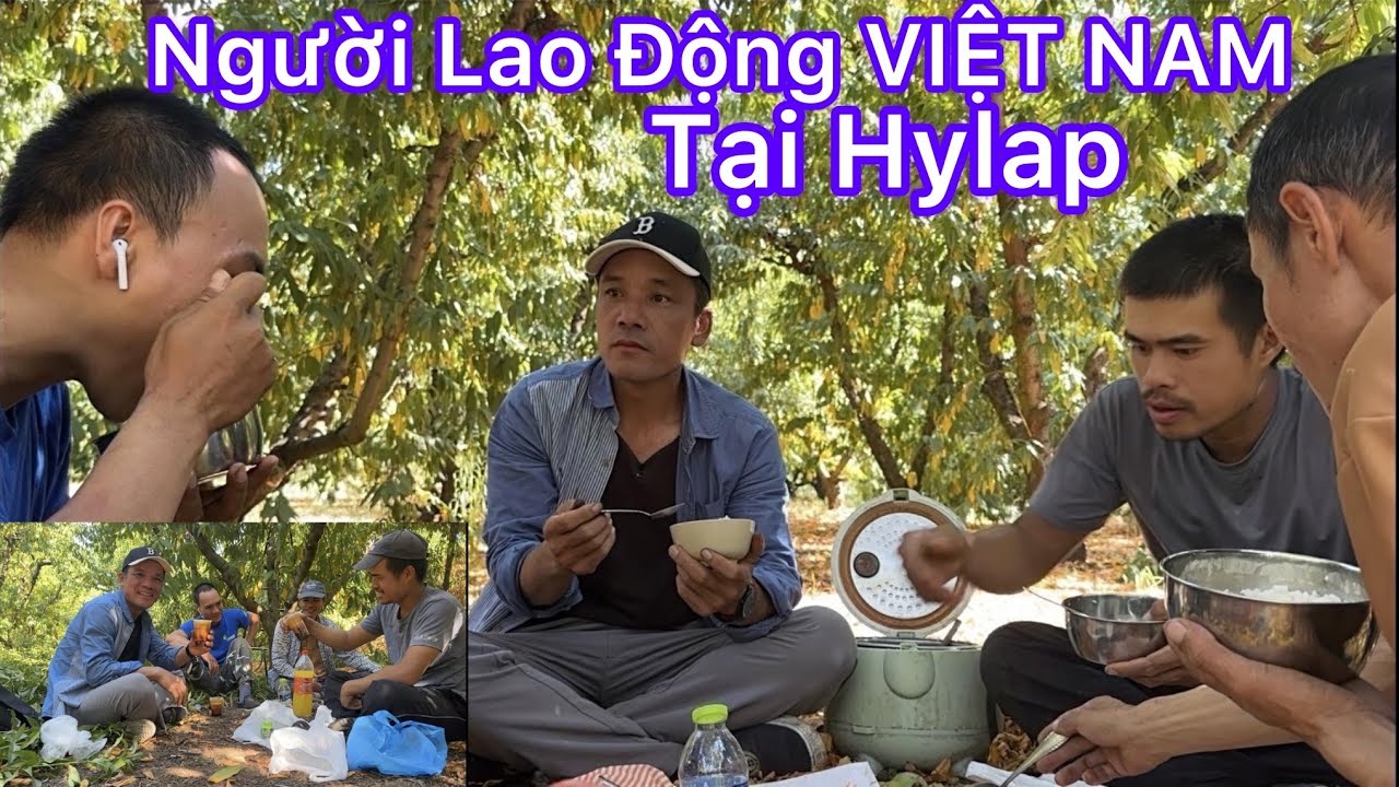 Cuộc Sống của Lao Động VIỆT NAM tại Hylap