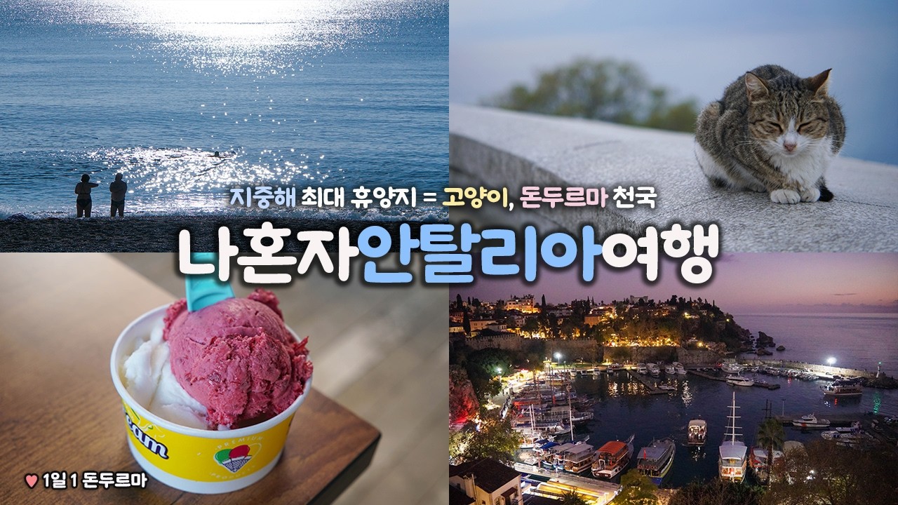 나혼자 안탈리아 여행｜지중해 최대 휴양지? = 고양이 천국｜튀르키예 장기여행의 끝, 체력도 끝 😰｜바다가 맛있고, 음식이 예쁩니다🌯｜구글맵 링크↓ 더보기란｜튀르키예여행 하는사람er