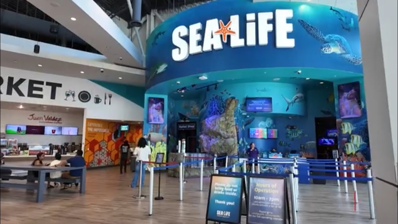 Sea Life Aquarium Orlando, Florida
