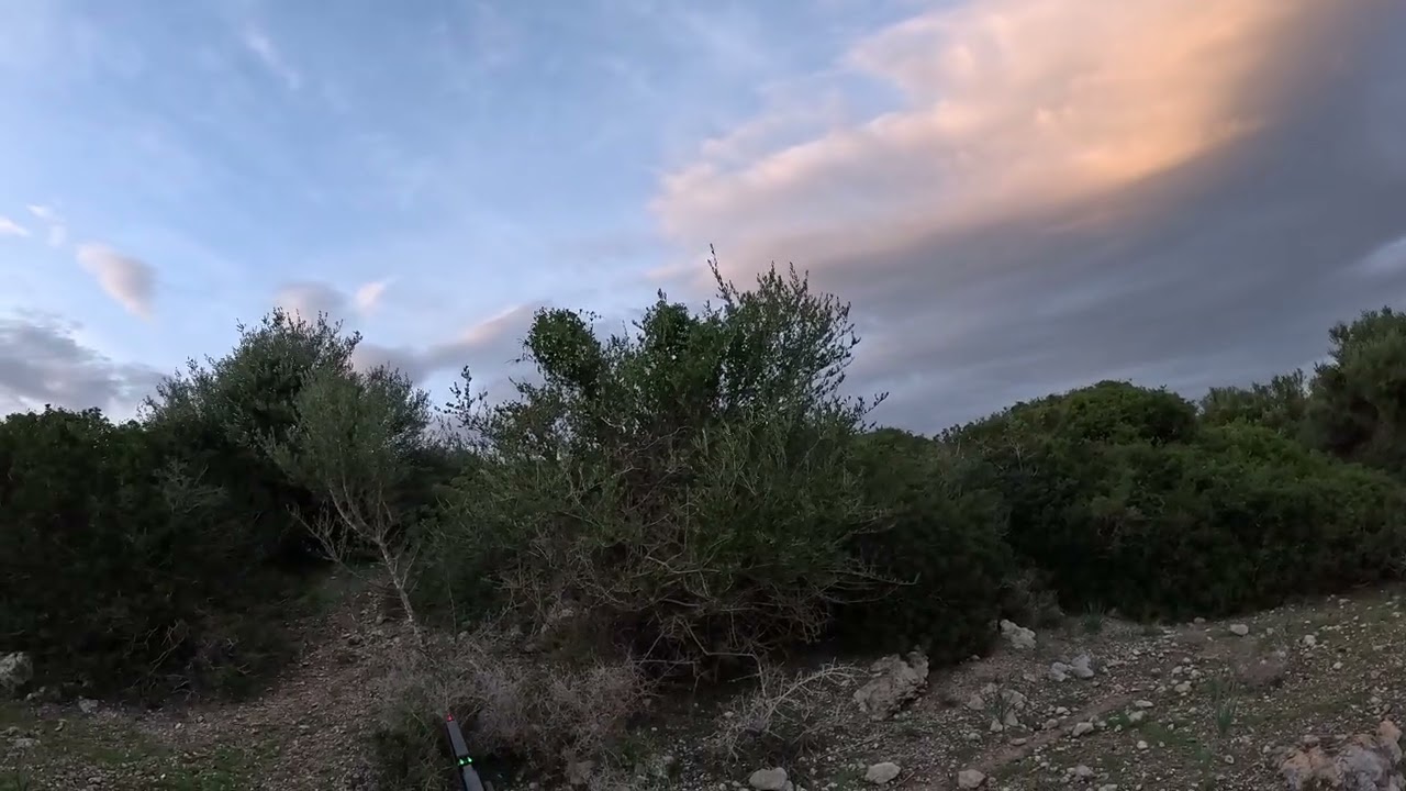 Caccia al cinghiale cuglieri 