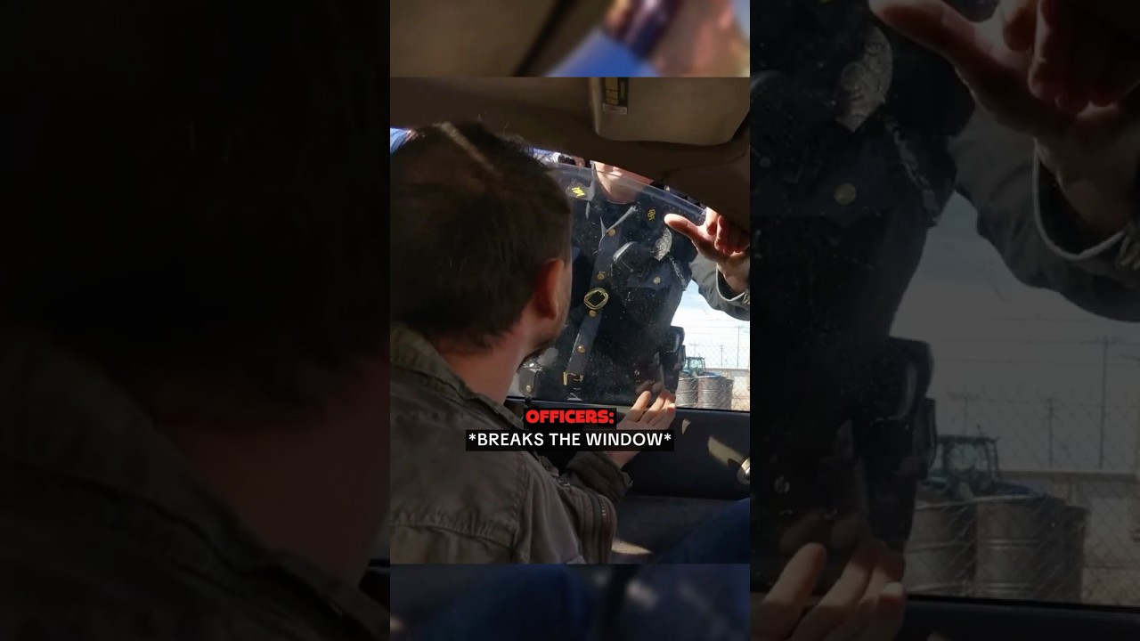 Полицейские разбили окно из-за непристегнутого ремня!