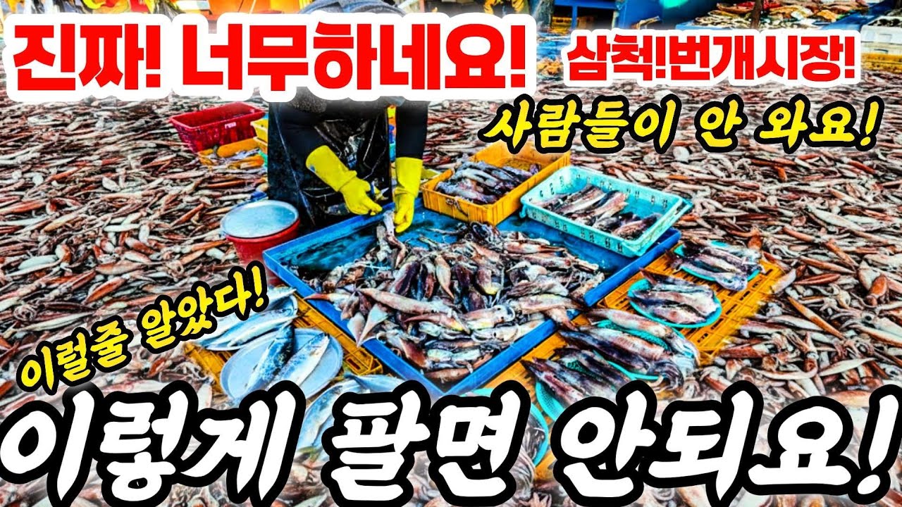 날추운데..여긴 오징어 개판이네! 어거 언제 다 파냐? 칼준비 배터지게 먹었다! #오징어 #강원도 #동해 #속초 #주문진 #부산 #음식 #횟집 #쇼핑 #폭락 #먹거리  #food