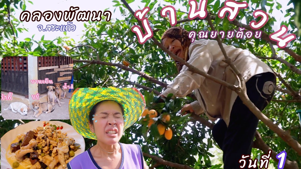 บ้านสวนคุณยาย (วันที่ 1)