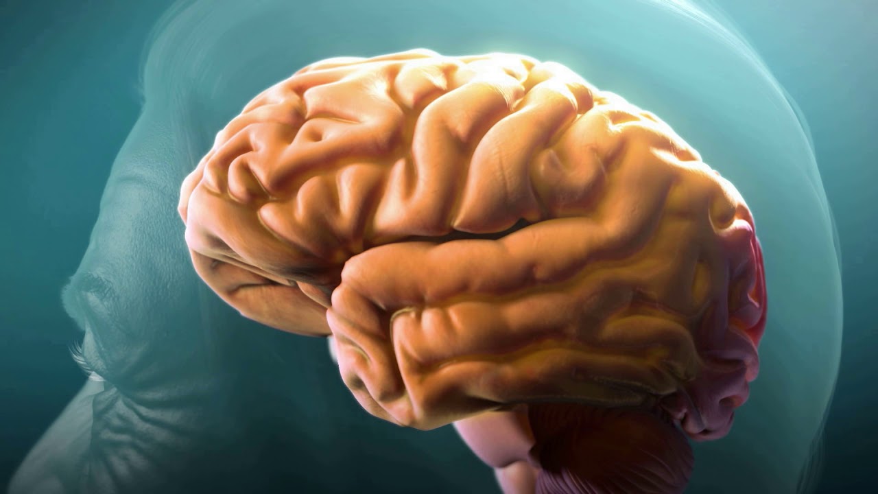 Comprender la enfermedad de Alzheimer (Understanding Alzheimer's Disease)