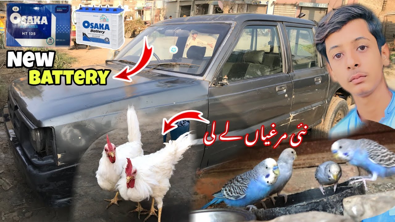 New Battery Lagwai aur new Hens lani  chahiya?
