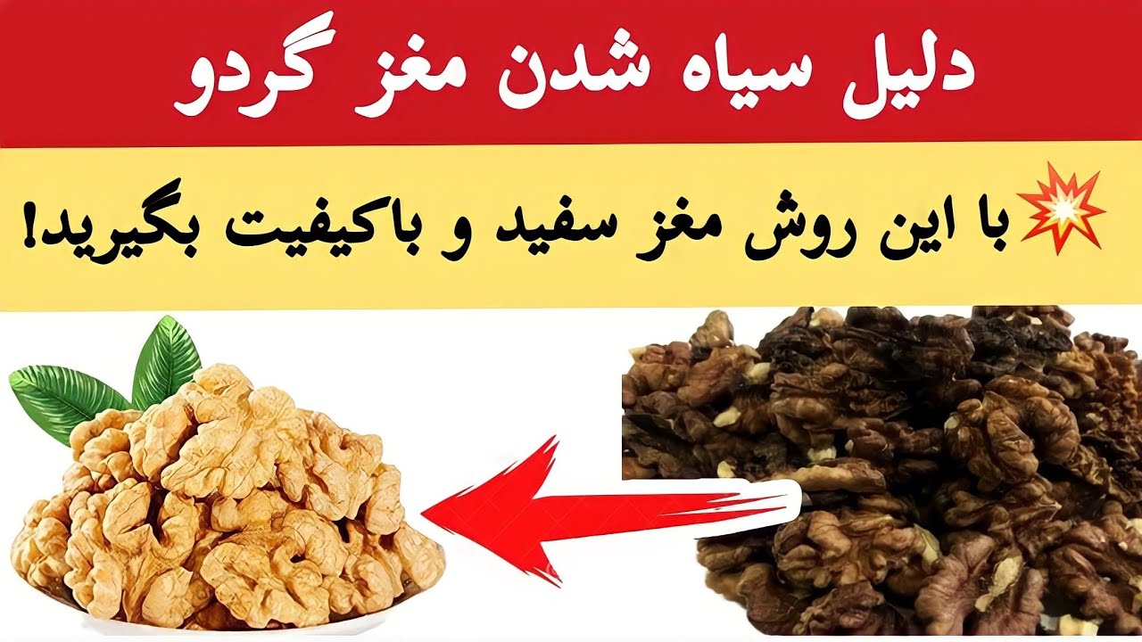 دلیل سیاه شدن مغز گردو | با این روش مغز گردو باکیفیت بگیر | باغبانی با قربان آزاد