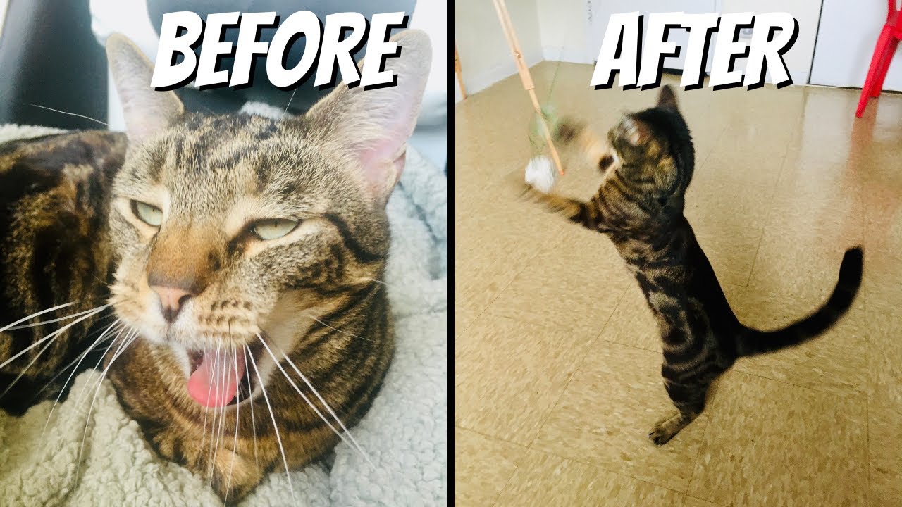 SOLVED: 