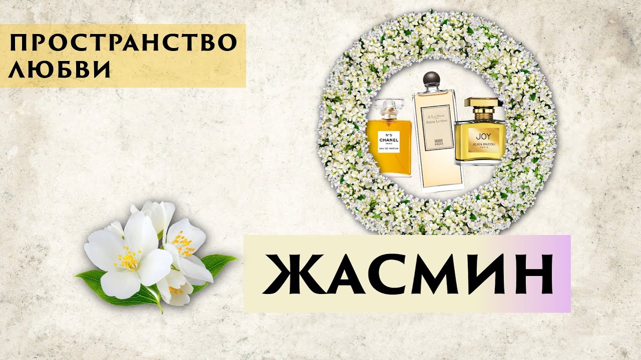 ЖАСМИН (Jasminum): Путь аромата от древних культур к парфюмерии | Символика, история, смысл
