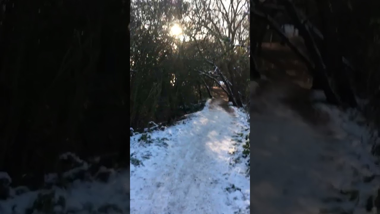West Hendon Winter Walk