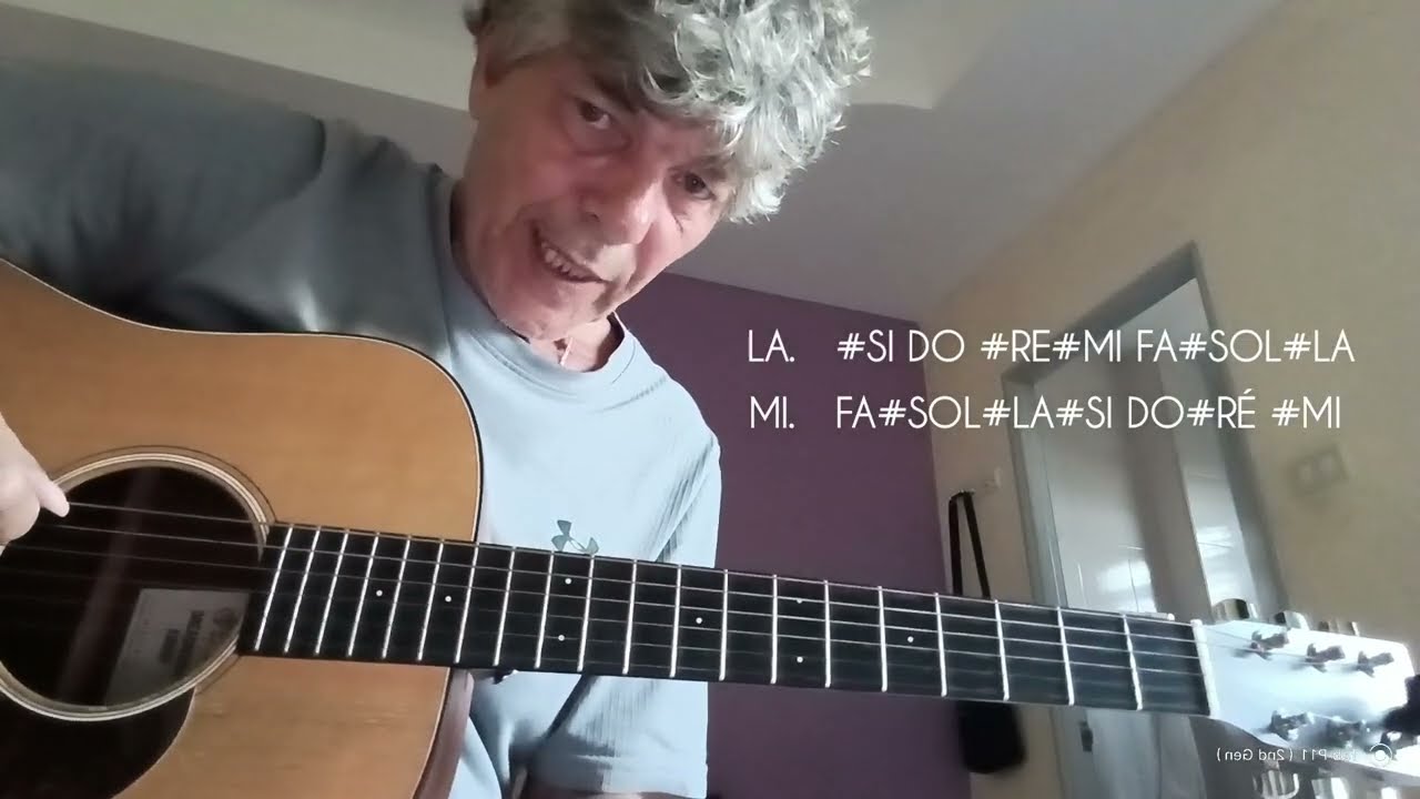 Les notes sur les 2 grosse corde puis sur tout le manche avec les octaves @TutoGuitare345
