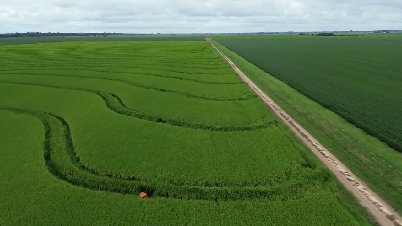 Levee rive fields