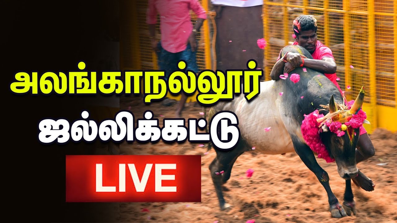 Alanganallur Jallikattu 🔴 Live | அலங்காநல்லூரில் மிரட்டும் காளைகள் | Vikatan | மதுரை