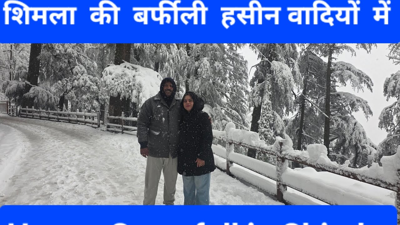 Heavy Snowfall in Shimla शिमला में भारी बर्फबारी Ajay Hardia &Manisha शिमला  की बर्फीली वादियों में 