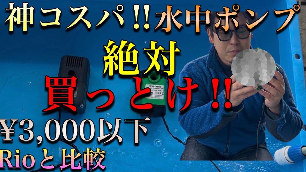 1トン以内の水槽ならこの水中ポンプ一択‼︎ 絶対買っといた方が良いおすすめ水中ポンプはこれ。 #錦鯉 #金魚 #玉サバ