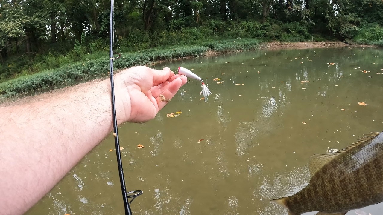 The Good, the Bad and the Ugly Creek Fishing Adventure