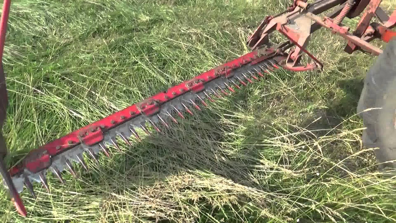 Széna kaszálás T-25 2015