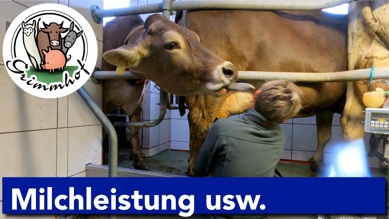 FarmVLOG#110 - Wieviel Milch gibt die Kuh🤔