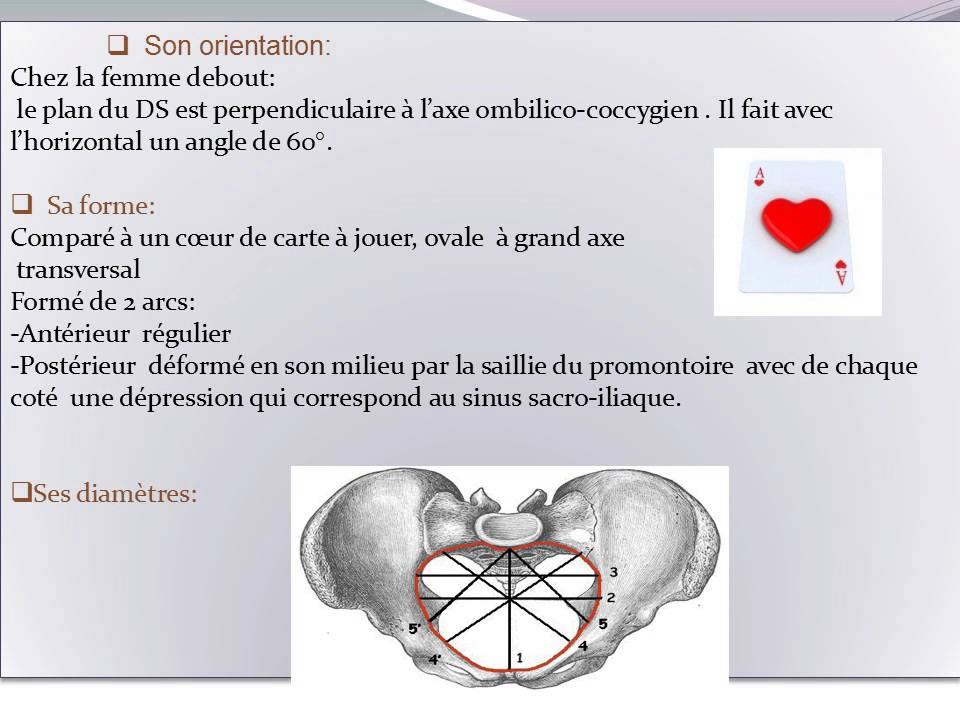 GYNECOLOGIE EXAMEN CLINIQUE DU BASSIN OBSTETRICAL NORMAL