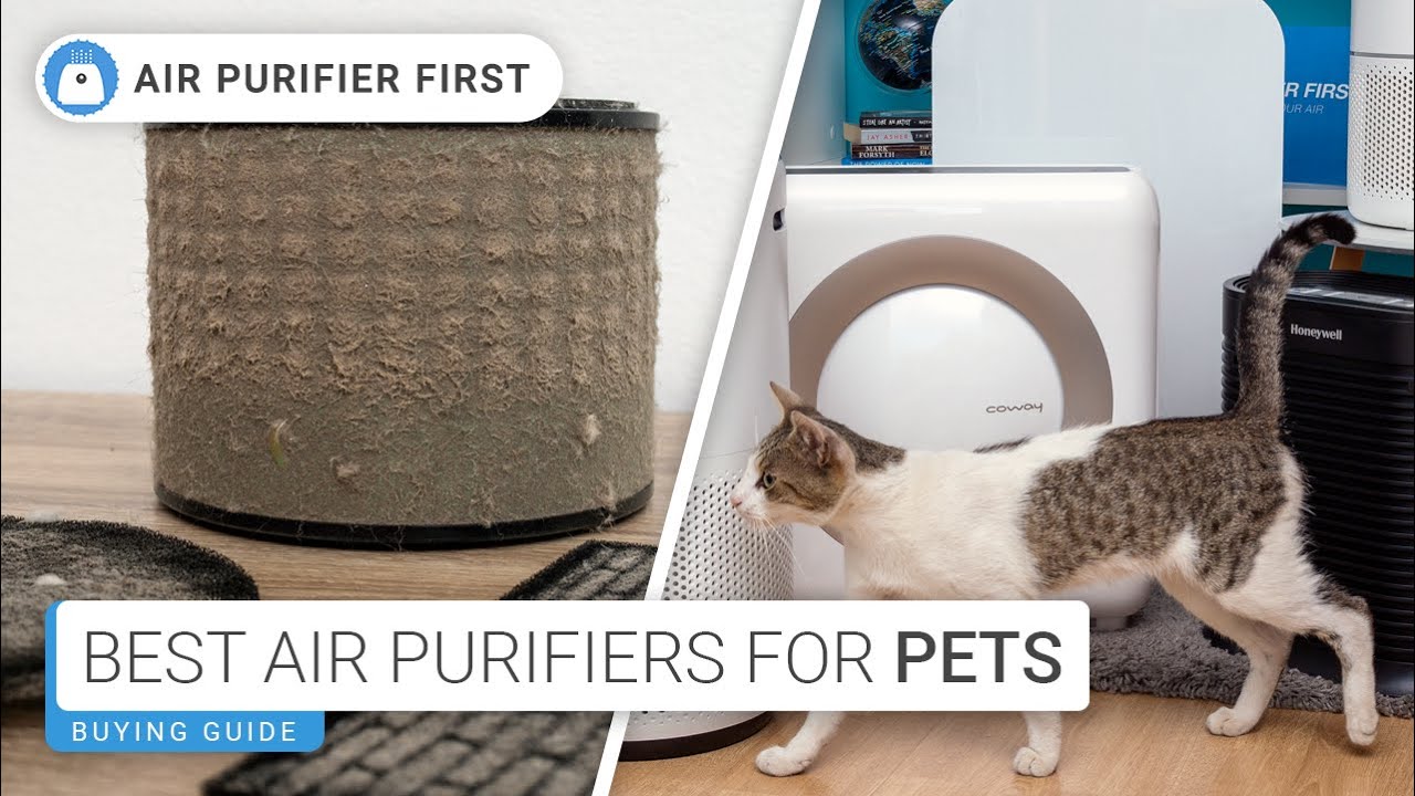 Best Air Purifiers For Pets &ndash; Remove Hair, Dander, & Smells